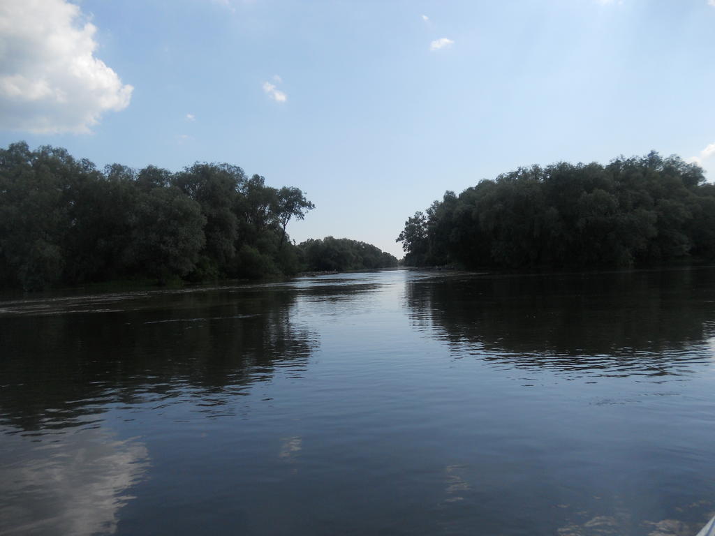 Pensiunea Cristal Tulcza Zewnętrze zdjęcie